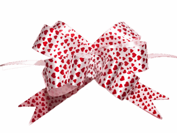 Moño Corazones Gigante Paquete 50 piezas 100x4.5 cm